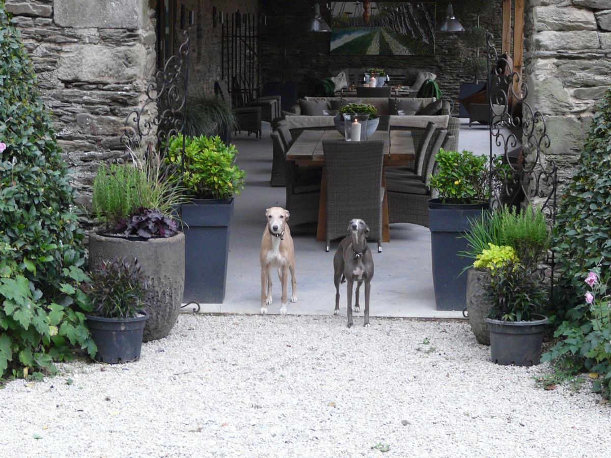 Hôtel Manoir De Kerledan à Carhaix-Plouguer Extérieur photo