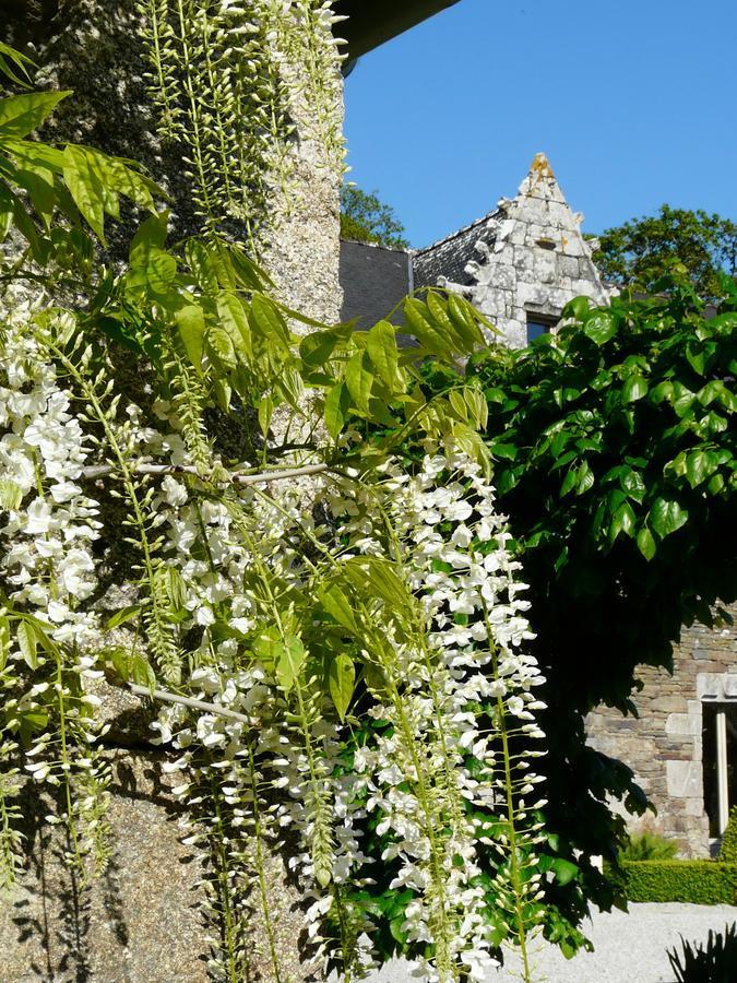 Hôtel Manoir De Kerledan à Carhaix-Plouguer Extérieur photo